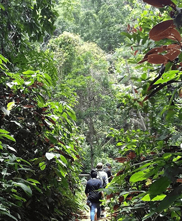 Leadership Development