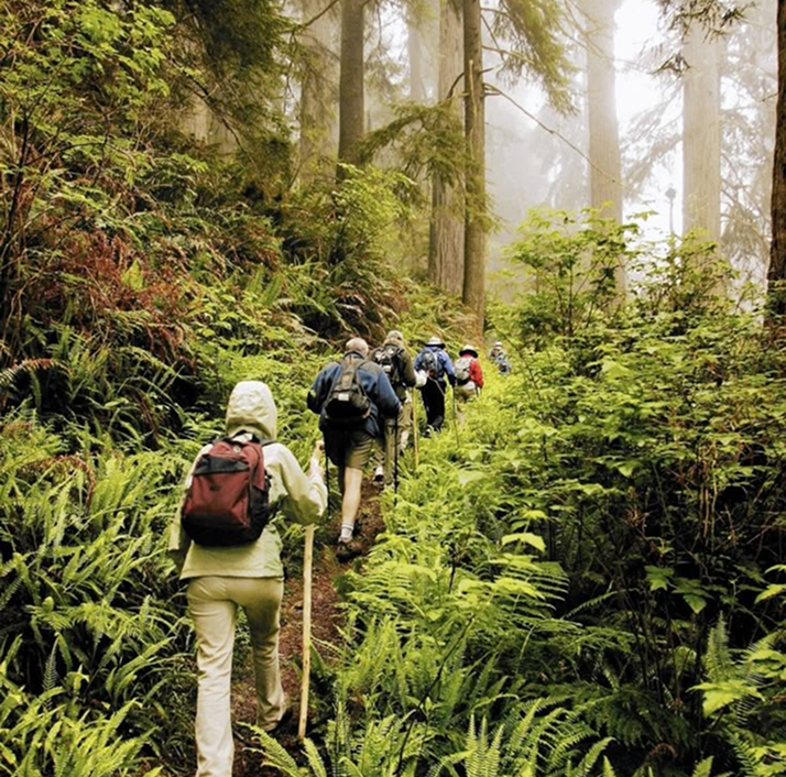 Signature Research Experience