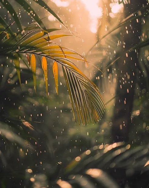 Mindful Reflections – Insight Partners