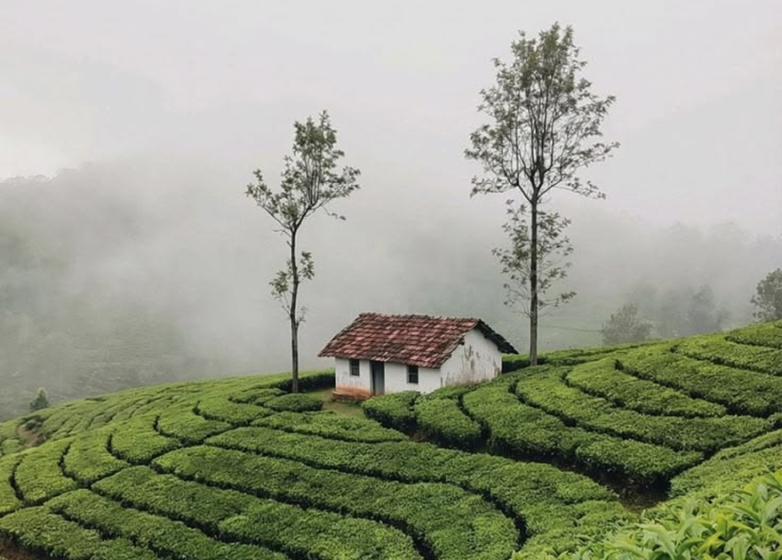 Supporting Village Life – RainDrops Collection