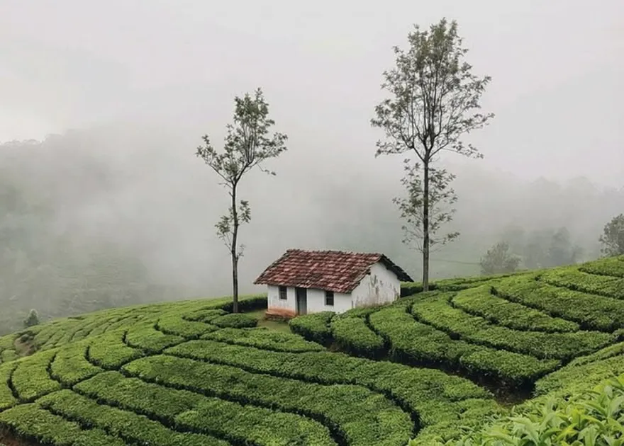 Supporting Village Life – RainDrops Collection